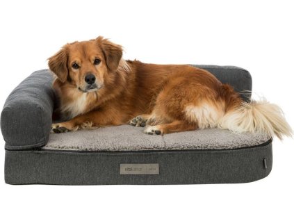 Ortopedická pohovka BENDSON Vital s 1/2 okrajem, obdélníková, tmavě šedá/světle šedá