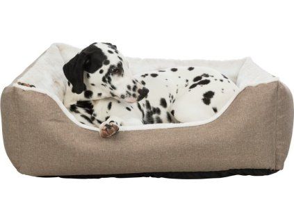 1ce43b08583f0f3cbba6f3728bb9f799