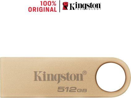 DTSE9G3 512GB