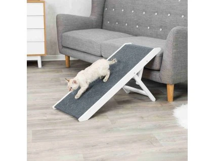 63c45e19b88c22f246f2a5fb4be66425