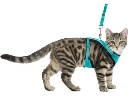 f57c5590bf2744e75896b43fd27937d2