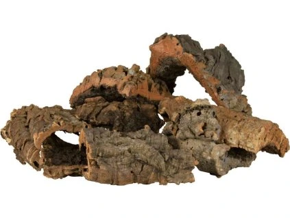 2a240cb1bfa55ec3494df10f1f650285