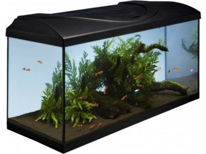 Akvarijní set 80 - černá 80x35x40 cm