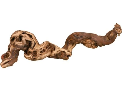 0da6913679fdb70a91eec16509810c14