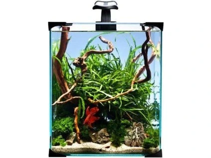 0d376416b38fe16e039414c4fa991e61