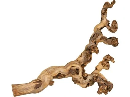 1e55e370687ae68d75ef86fd91102180