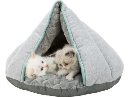 9bb2eacd07250c585d7983cd34dba422