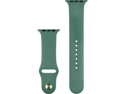 COTECi silikonový sportovní náramek pro Apple watch 38/40/41mm piniově zelený