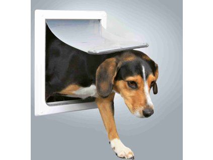 4392e6c13321be3122741736ebb3558f