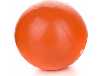 SPORTWELL Mini ball 25 cm, assort