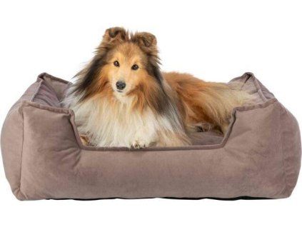 0e7e9ef7732341cd832f693461323774