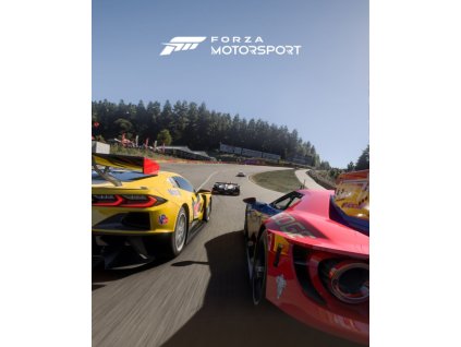 ESD Forza Motorsport