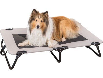 68655d747bf356723781203846fa34cc