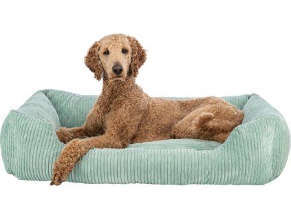 432fed7b028c19a0adf3ac512cb88d37