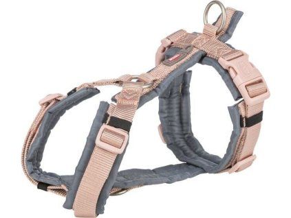 468ea90019432f64499ae89c6c28703d