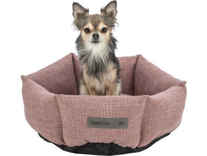 aade43b96526d89fc6859443f3ee1480