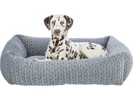 6916ffbfcd0113c281d9cdc3bd9e3dd1