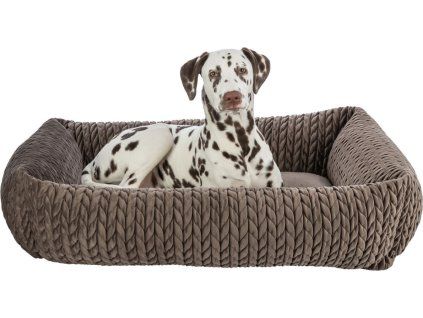 df4178cc921ff8bbf7b93ca4b5cb7342