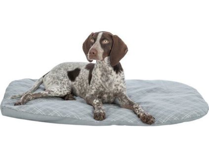 Oválný polštář JESSIE, bavlna/polyester, šedá/bílá