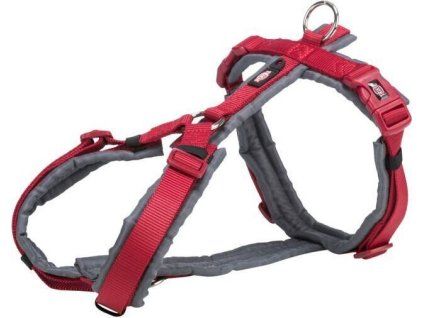 b9aba5688a40da3a525956a9705fe61a