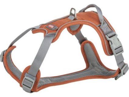 419808ca718231da7bfb7a6e4b2ecf43