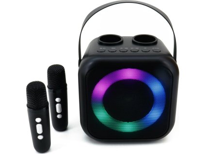 Soundmaster BT2024SW/ 5W/ BT/ Disco light/ USB-C/ 2x BT mikrofony