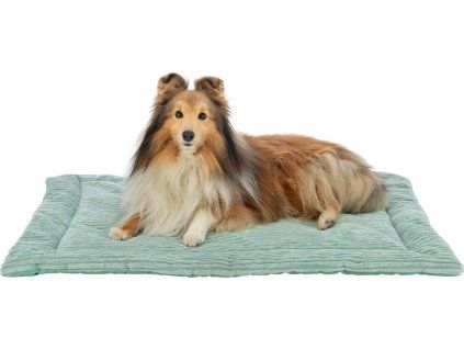 bd15411256421f7757b63cec95230f2a