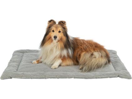 80e2772e949b8aba40d9e2323d311c79