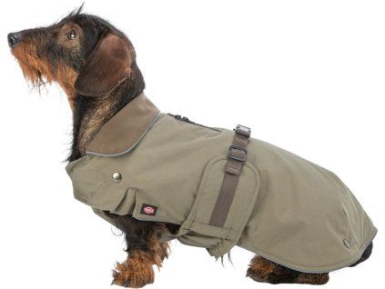 9a6bcc934fcc16302ab8fca88ae4635d