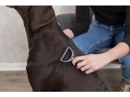 012b86ee86430e25a119a4c03f677041