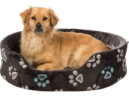 db1332f52b415fe9484f0e7ca4e1fa5e