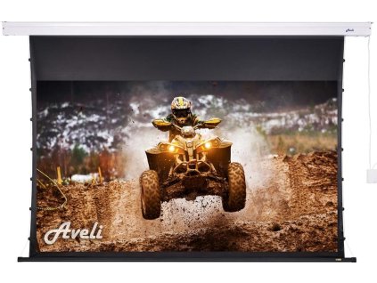 Nástěnné plátno AVELI PREMIUM,metal,265x149(16:9) 120"