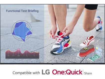 1686639236636 44784 s