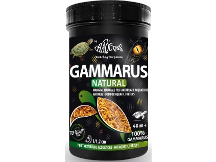 5a8dba46 af02 41f6 b943 e39634ec327e 320637