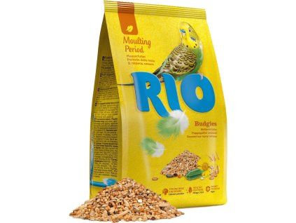 8573c75c 923c 4478 9144 03f3dd1bb5f5