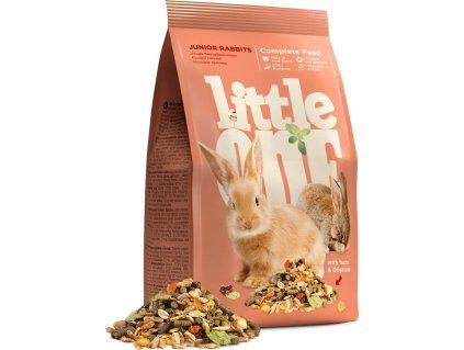 10192376 213d 4fa2 b8a1 a284888490b5