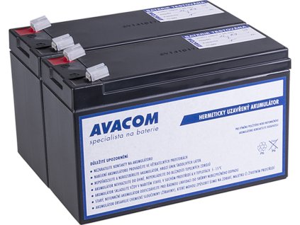 Bateriový kit AVACOM AVA-RBC22-KIT náhrada pro renovaci RBC22 (2ks baterií)