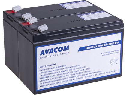 Bateriový kit AVACOM AVA-RBC124-KIT náhrada pro renovaci RBC124 (2ks baterií)