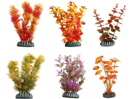 FLAMINGO  akvarijní rostliny mix CUBA XL