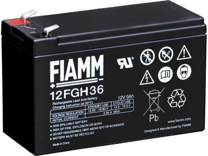 Fiamm 12 FGH 36 s