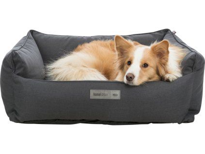 34ff81f5640c676d439466bf8a6ea7c2