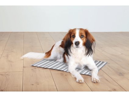 Chladící podložka pro zvířata, proužkovaná 65 x 50 cm bílo/šedá