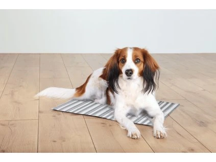 127d9d0d66def34223b87c624ac12ab7