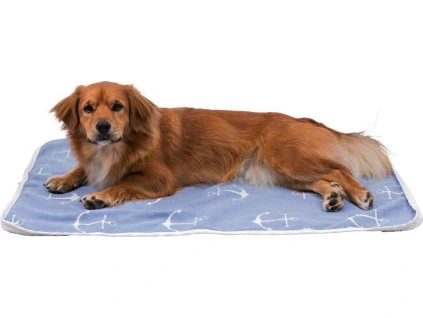 8c76434d95deba7adacf875e8ba390b2