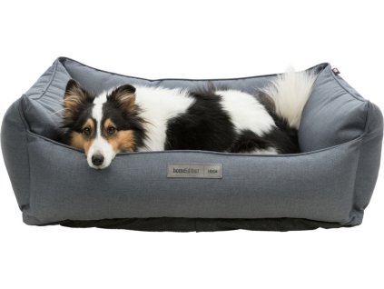 Pelech Farello čtveratý, šedý