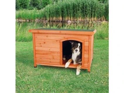 db4393a6342f4f2278a4a1ceb09bbc79