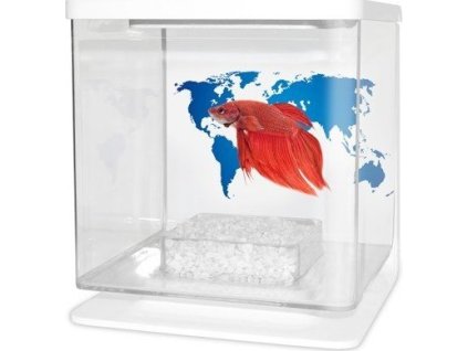 CATGATO Betarium Betta kit world map 2l