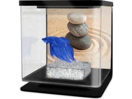 7ebd79ac b0f1 4048 b04f e2f7dfda825c 332859