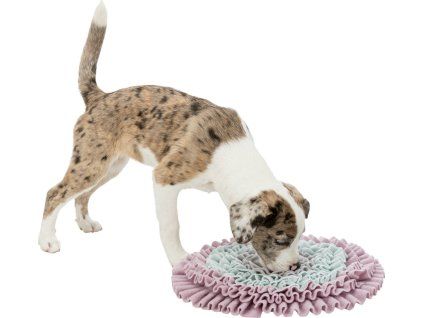 886de49206e5edcf6b0c46c4c7604977