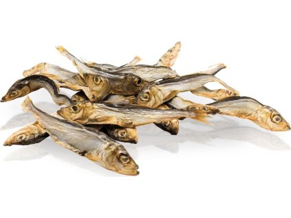 Rybičky - mořské šproty 5 kg